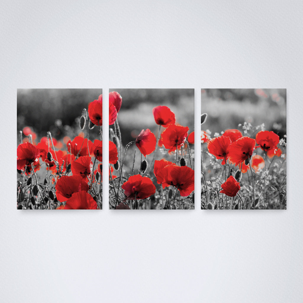 Kit 3 Peças Quadro Decorativo de Parede