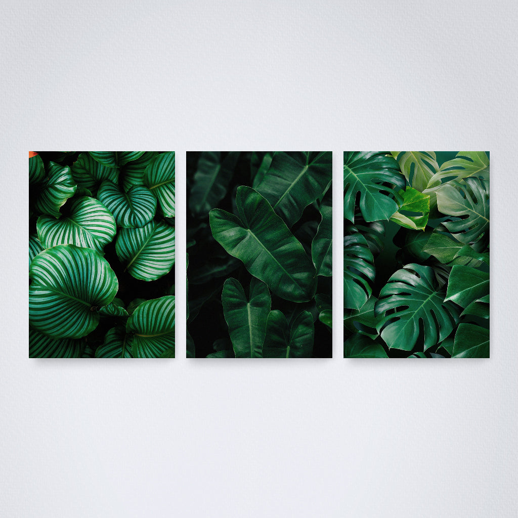 Kit 3 Peças Quadro Decorativo de Parede