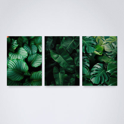 Kit 3 Peças Quadro Decorativo de Parede