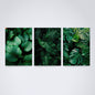 Kit 3 Peças Quadro Decorativo de Parede