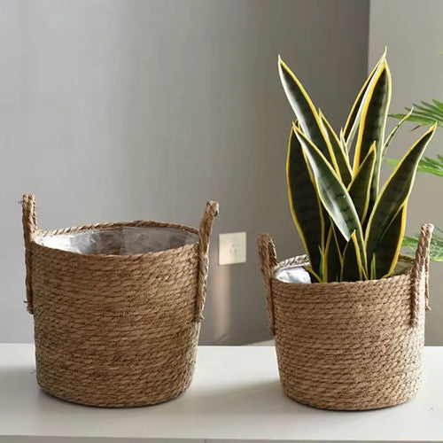 Cesto Palha Para Plantio Plantas Com Alça