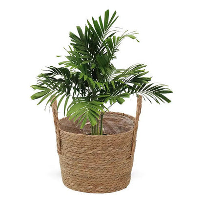 Cesto Palha Para Plantio Plantas Com Alça