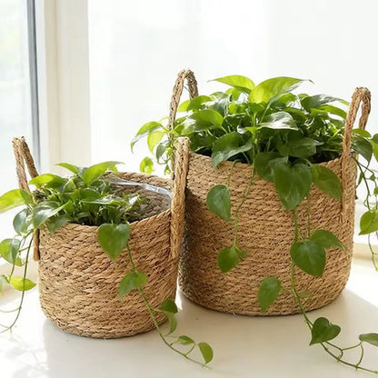 Cesto Palha Para Plantio Plantas Com Alça